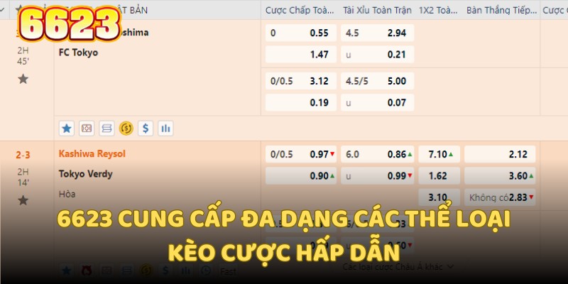 6623 cung cấp đa dạng các thể loại kèo cược hấp dẫn người chơi