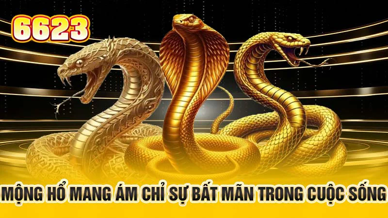 3-mong-ho-mang-am-chi-su-bat-man-trong-cuoc-song- copy