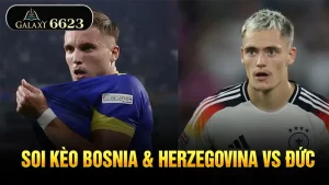 soi-keo-bosnia-herzegovina-vs-duc-6623