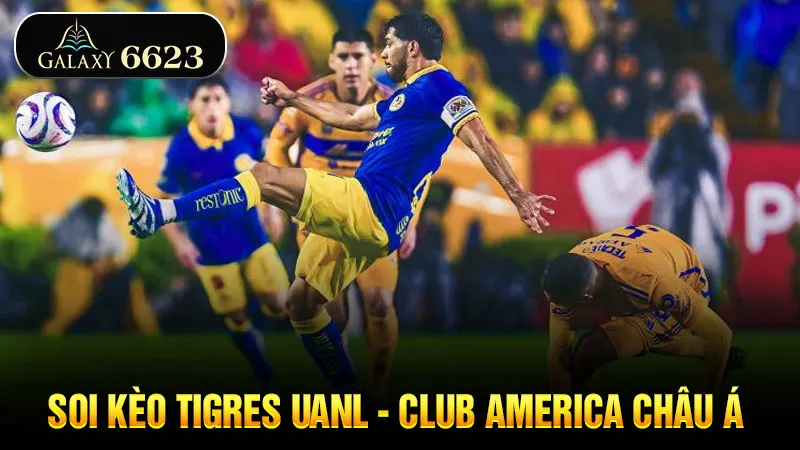 soi-keo-tigres-uanl-club-america-chau-a-6623